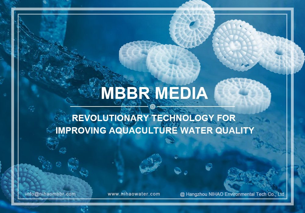 MBBR : une technologie révolutionnaire pour améliorer la qualité de l'eau en aquaculture